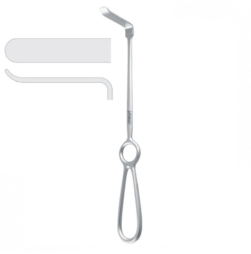 [FC.037.010|--|F59-873-01R|R59-873-01R] Retractor cheek / lip Arnett 44x10mm, 225mm